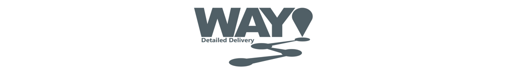 Waypoint Detailed Delivery